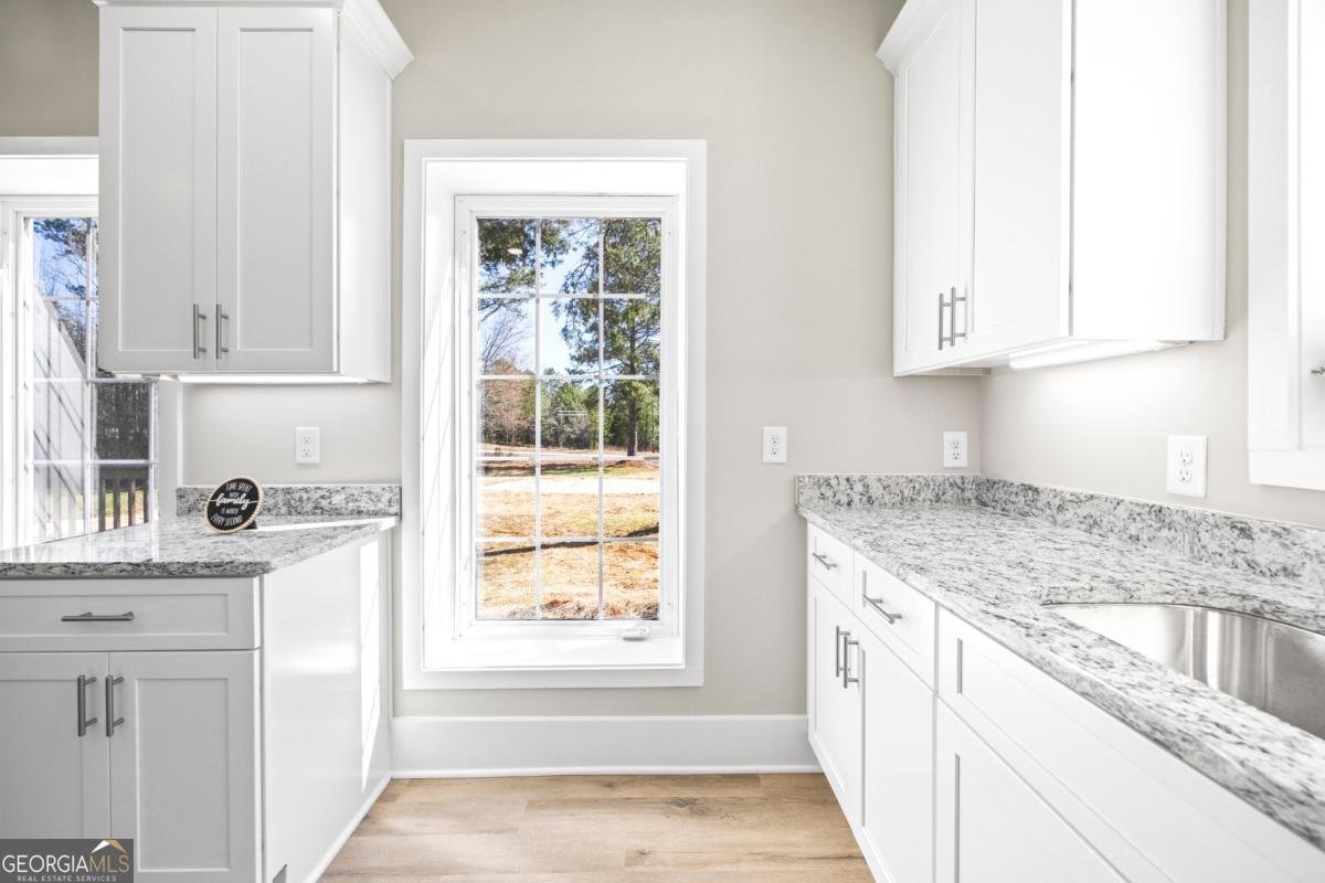 737 Broad River Road Carlton - Photo 52