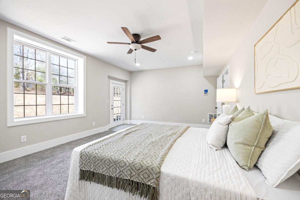 737 Broad River Road Carlton - Photo 69