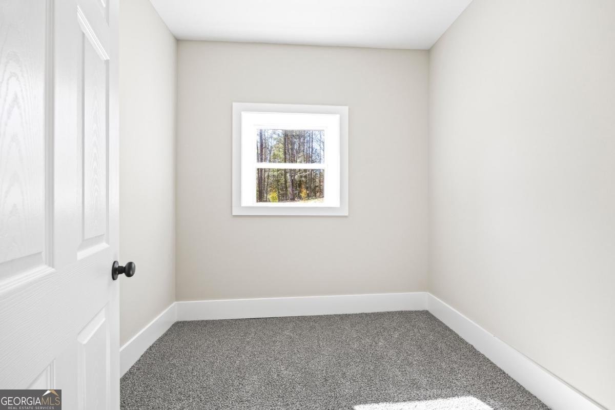 737 Broad River Road Carlton - Photo 73