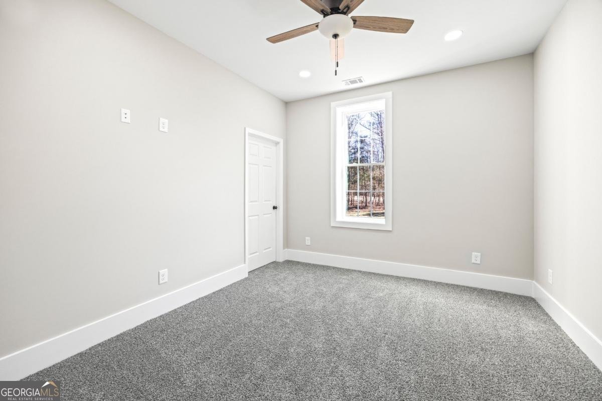 737 Broad River Road Carlton - Photo 79