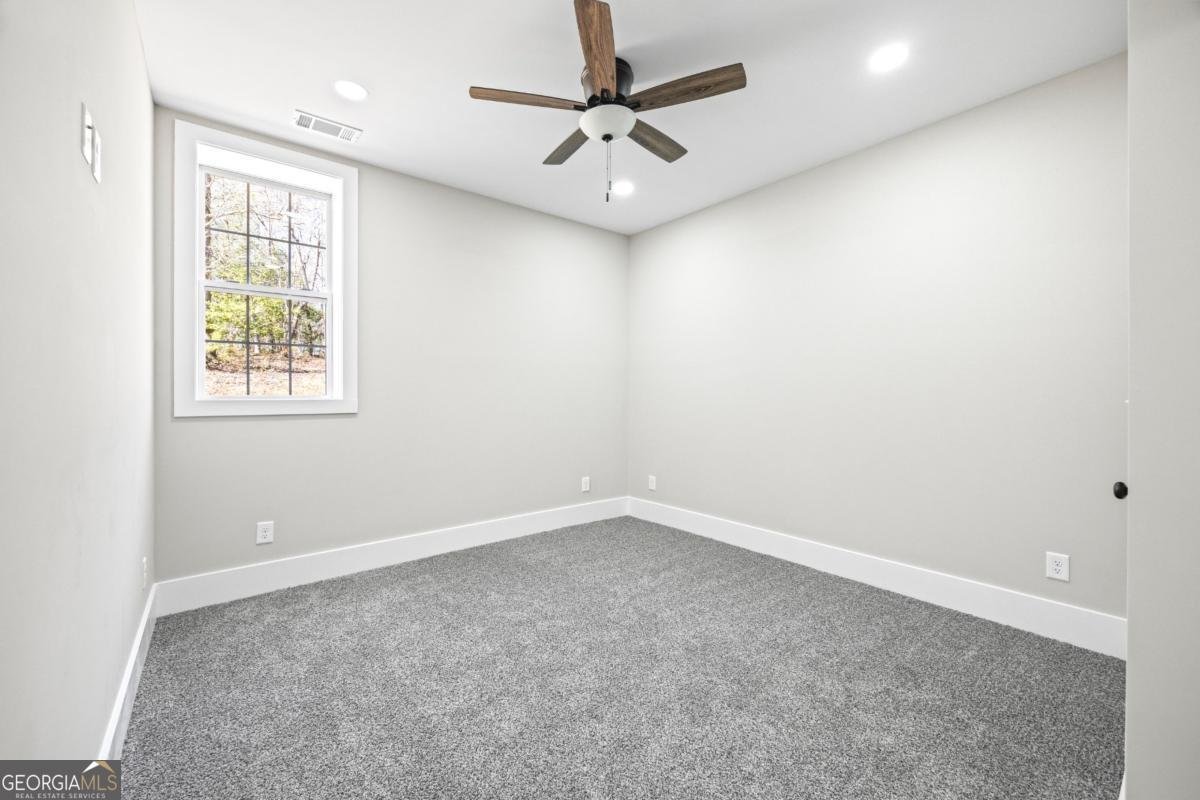 737 Broad River Road Carlton - Photo 85