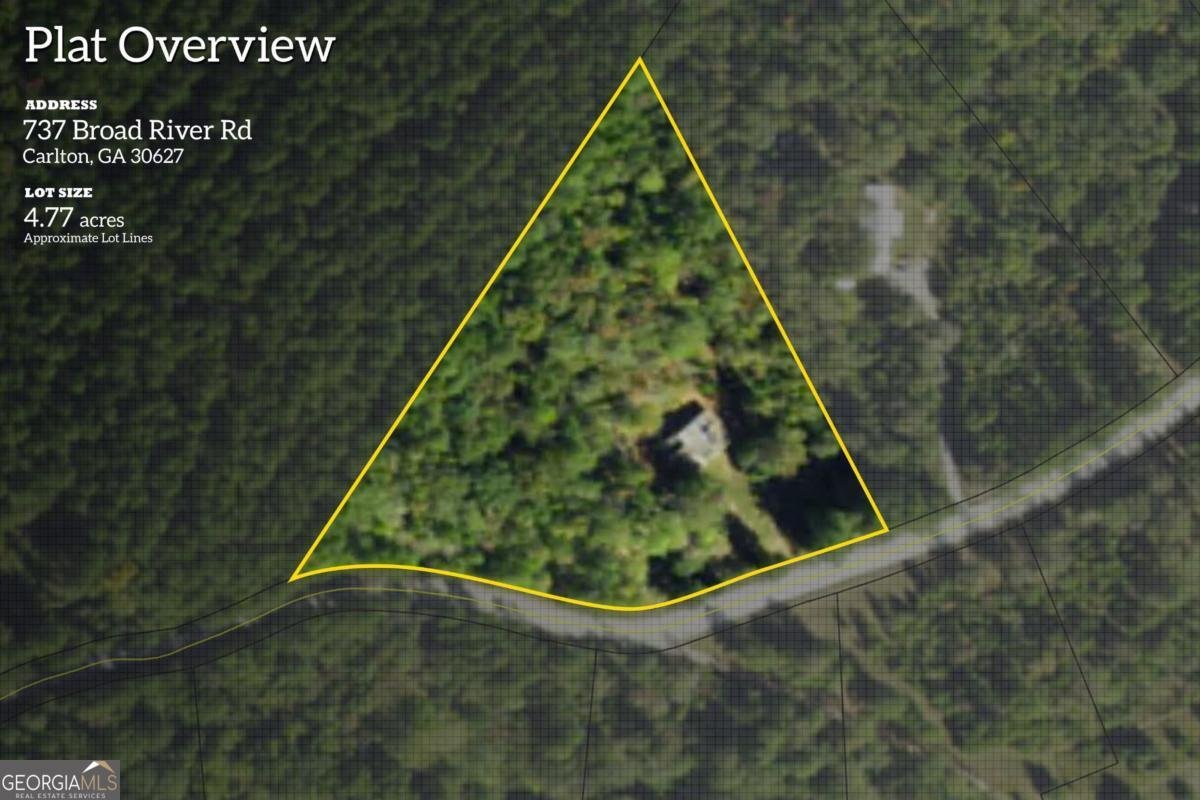 737 Broad River Road Carlton - Photo 9