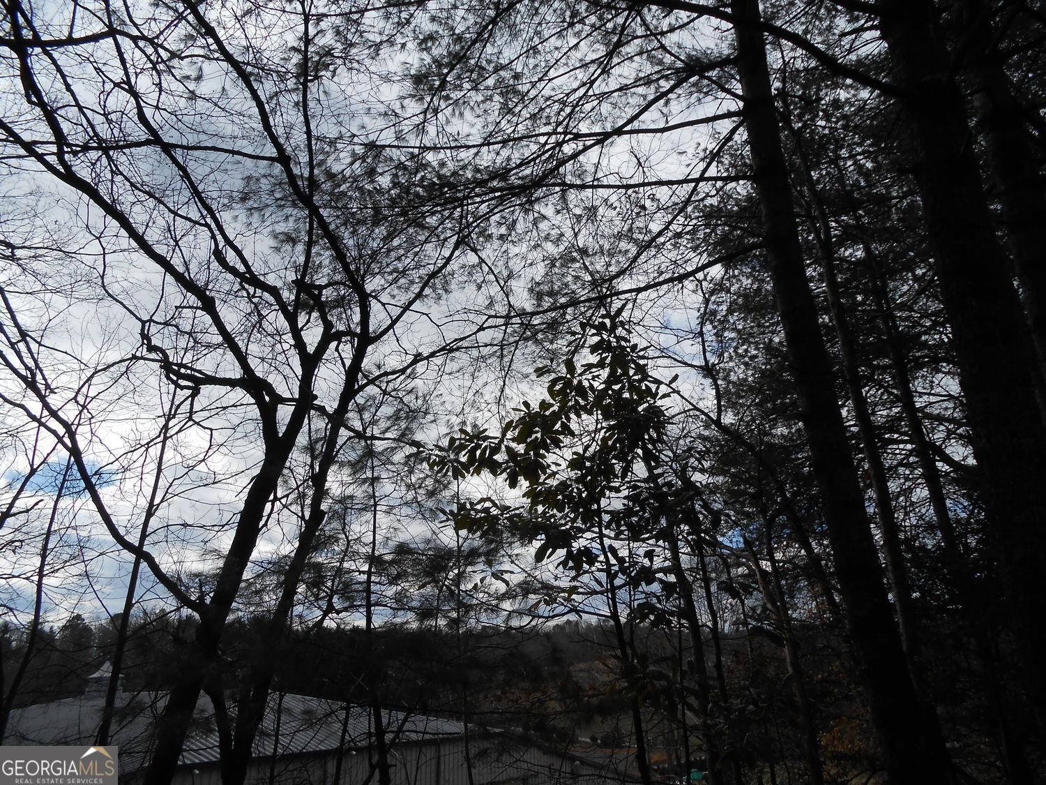 9 Golf Drive Clayton - Photo 44