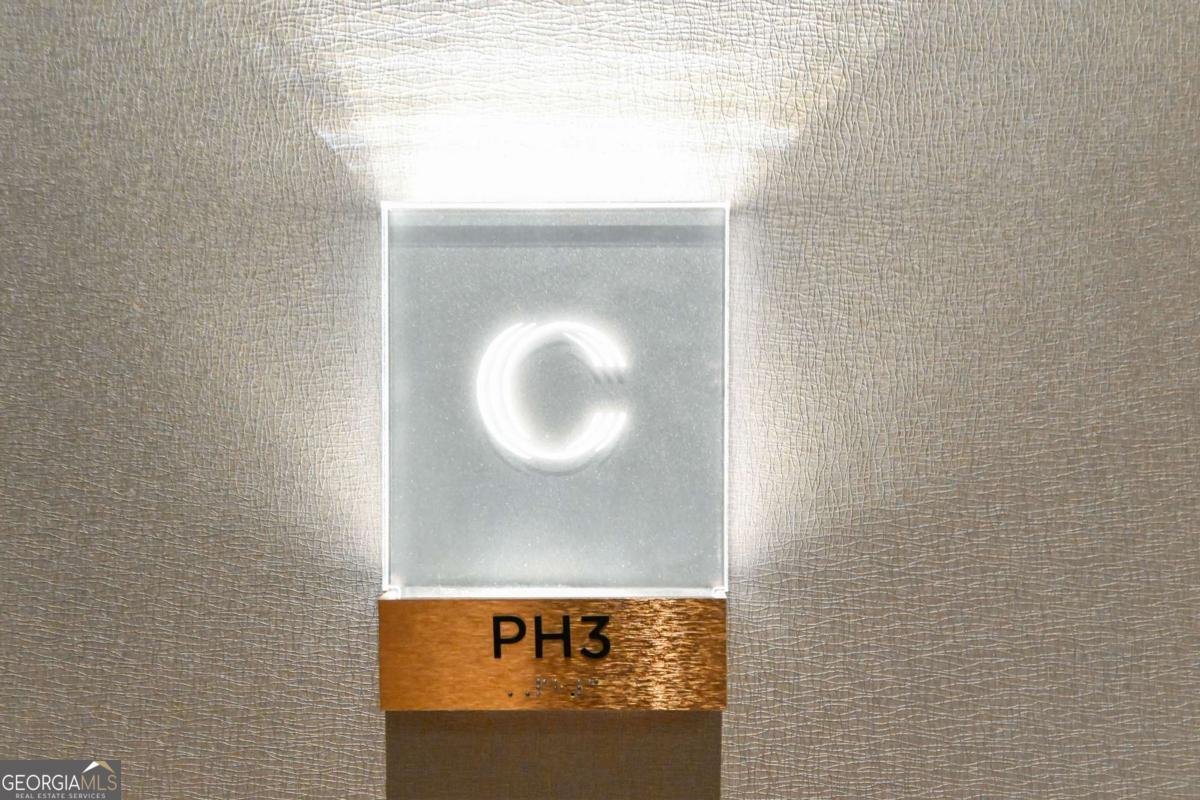 3107 Peachtree Road Atlanta - Photo 62