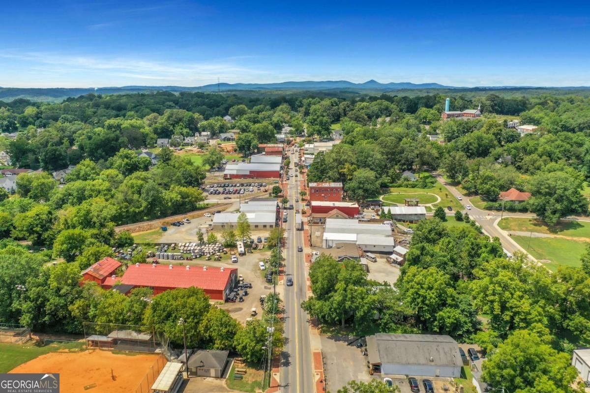 162 Marble Tree Way Ball Ground - Photo 36