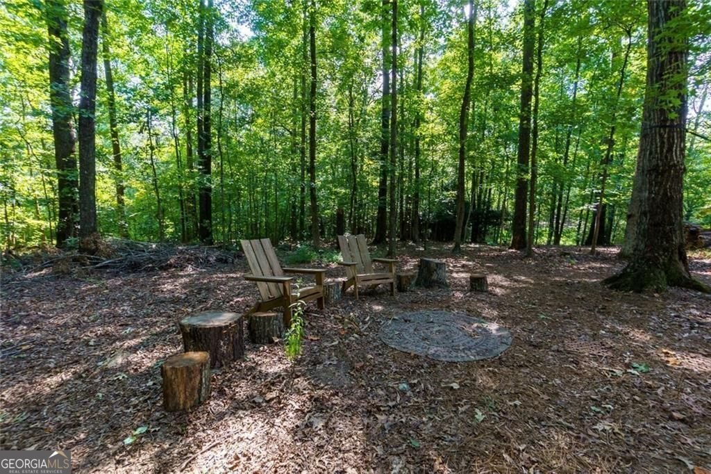 201 Glenrise Court Woodstock - Photo 61