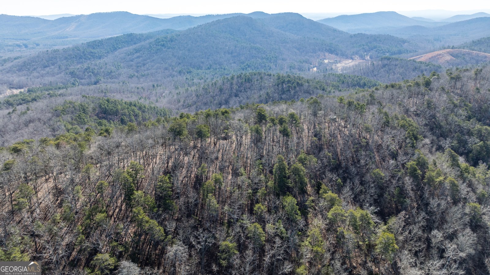 2077 Big Texas Valley Rome - Photo 33