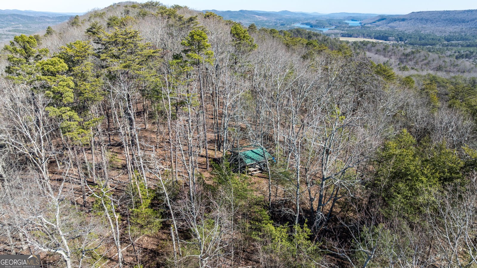 2077 Big Texas Valley Rome - Photo 35