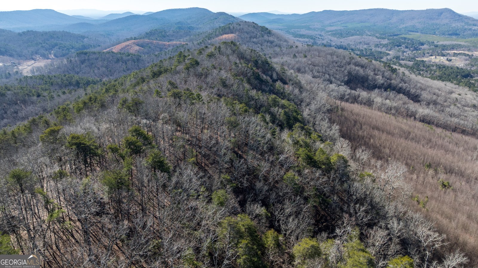 2077 Big Texas Valley Rome - Photo 36