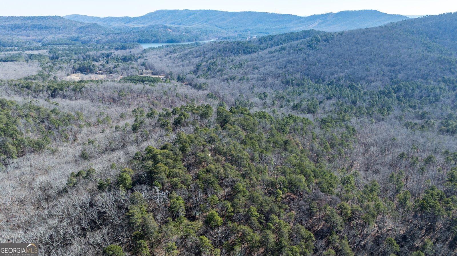 2077 Big Texas Valley Rome - Photo 37