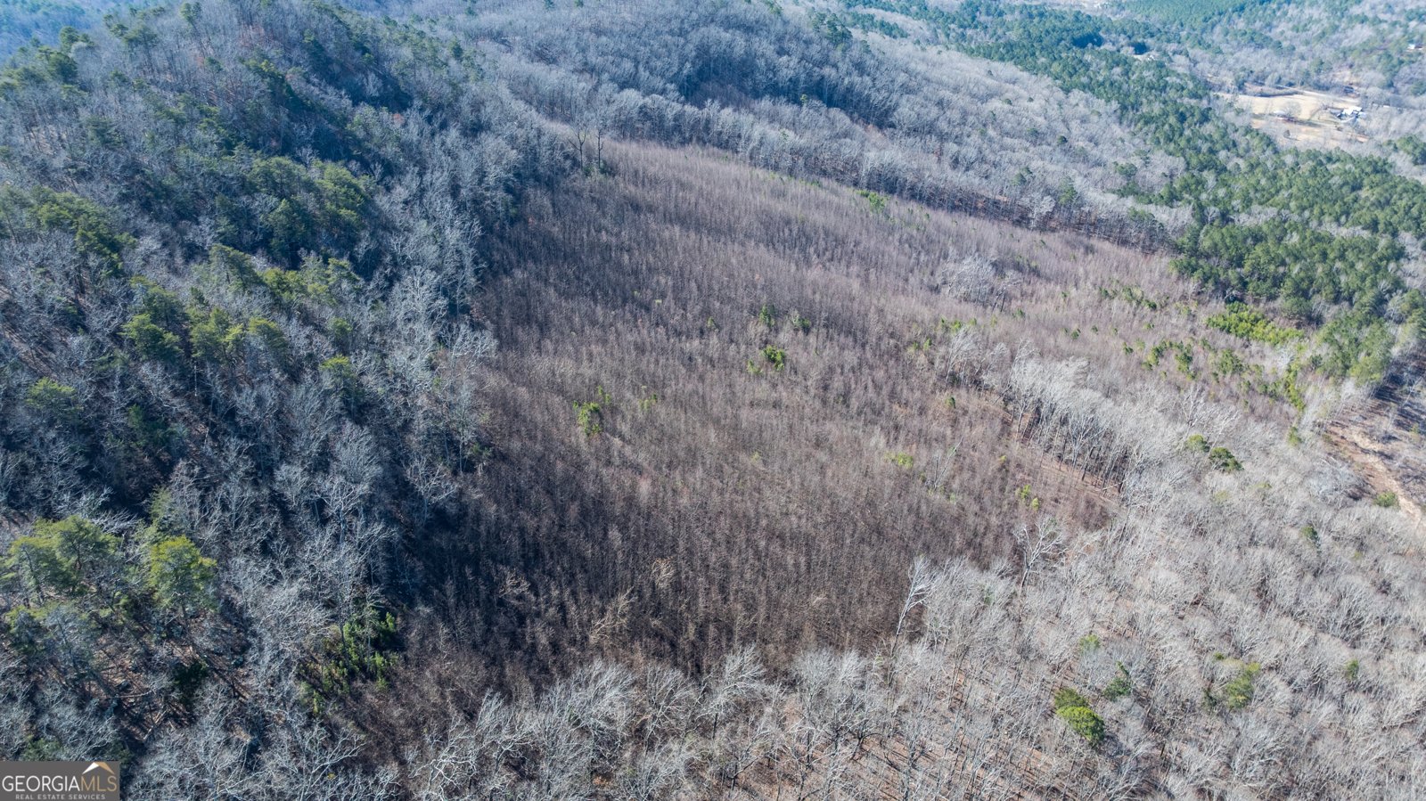 2077 Big Texas Valley Rome - Photo 38