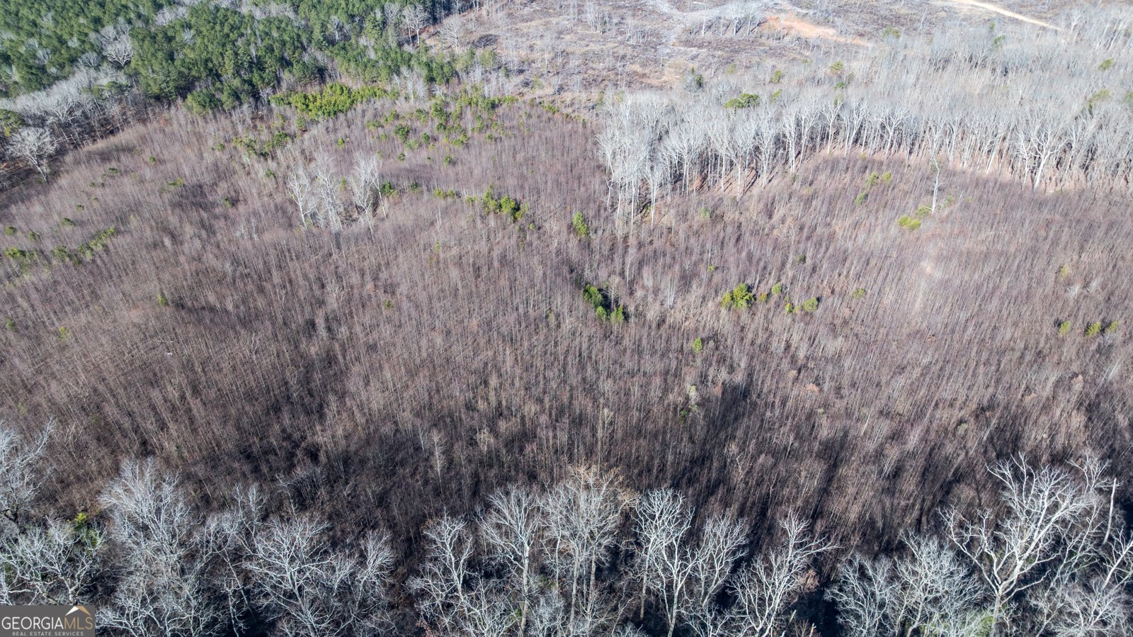 2077 Big Texas Valley Rome - Photo 39