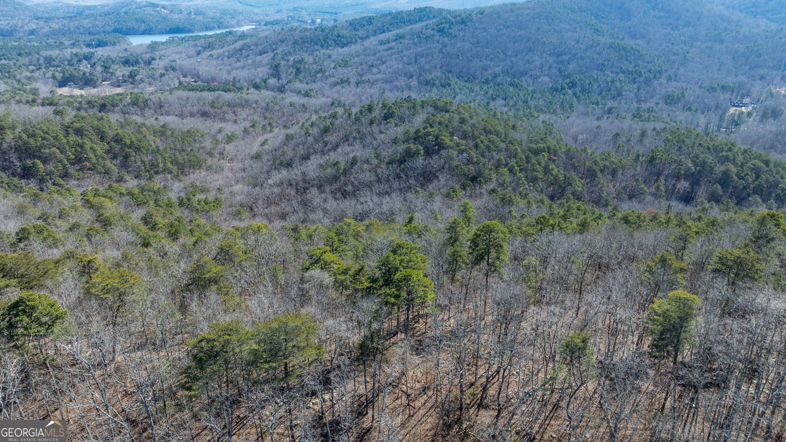 2077 Big Texas Valley Rome - Photo 40