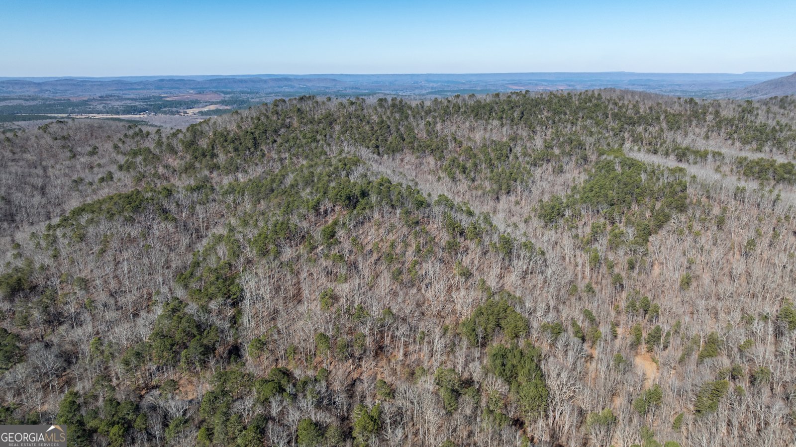 2077 Big Texas Valley Rome - Photo 41