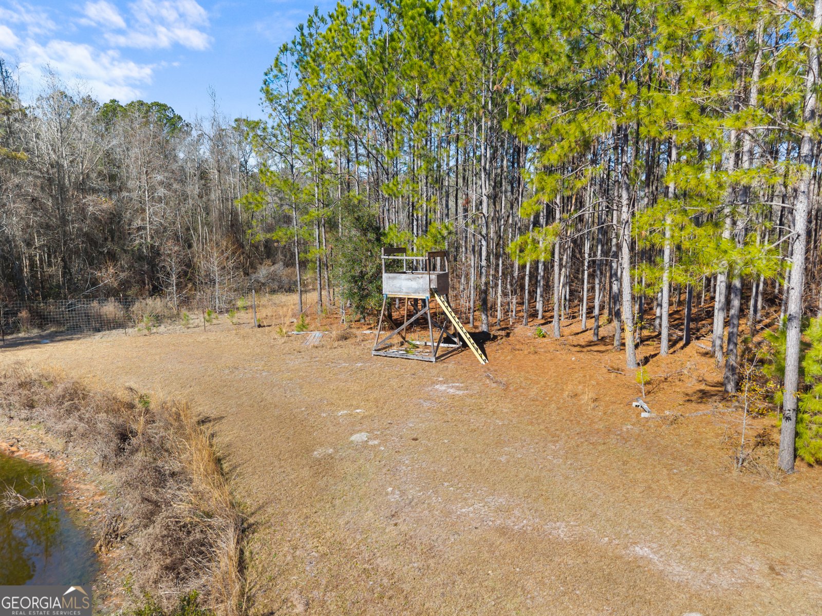 549 Kendricks Road Brooklet - Photo 26