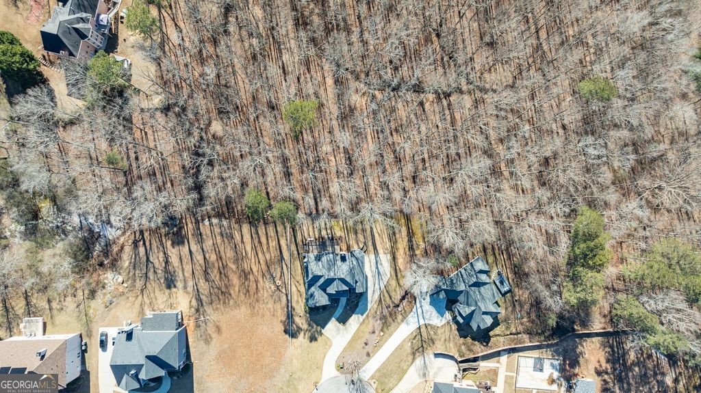 5260 Prestley Crossing Lane Douglasville - Photo 93