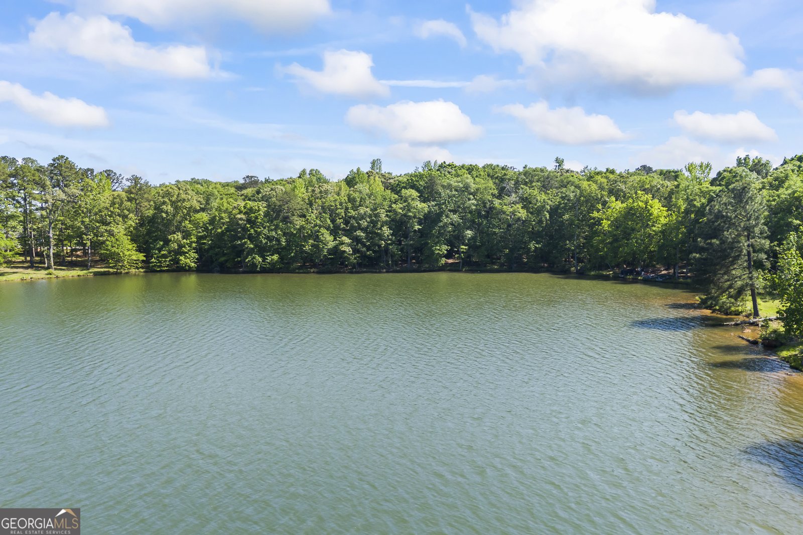 160 Evans Drive Bogart - Photo 157