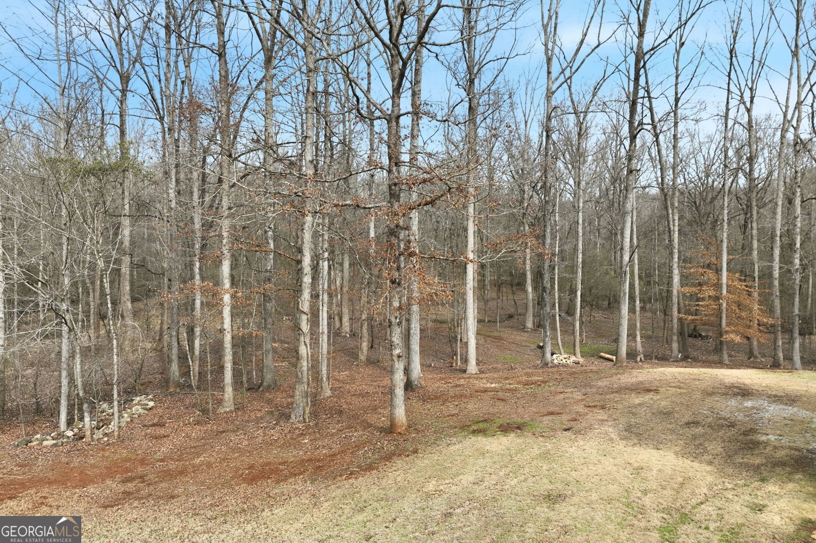 256 Jacob Drive Hoschton - Photo 38