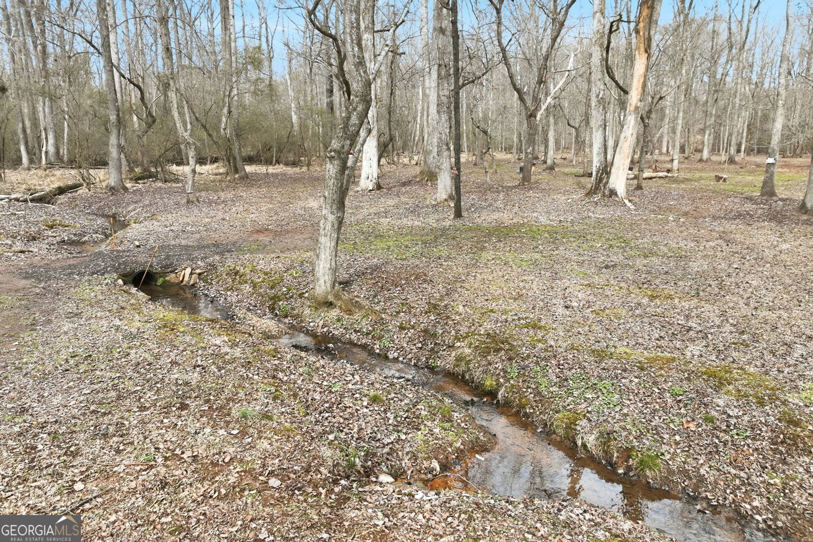 256 Jacob Drive Hoschton - Photo 41