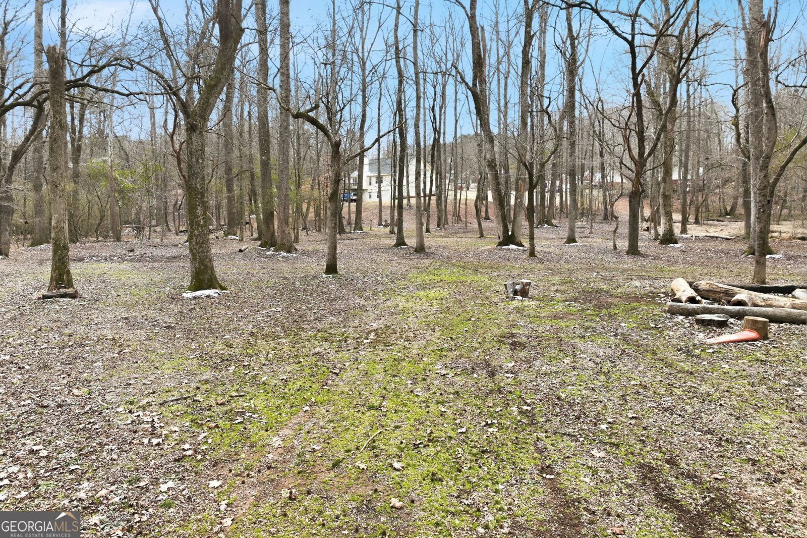 256 Jacob Drive Hoschton - Photo 42