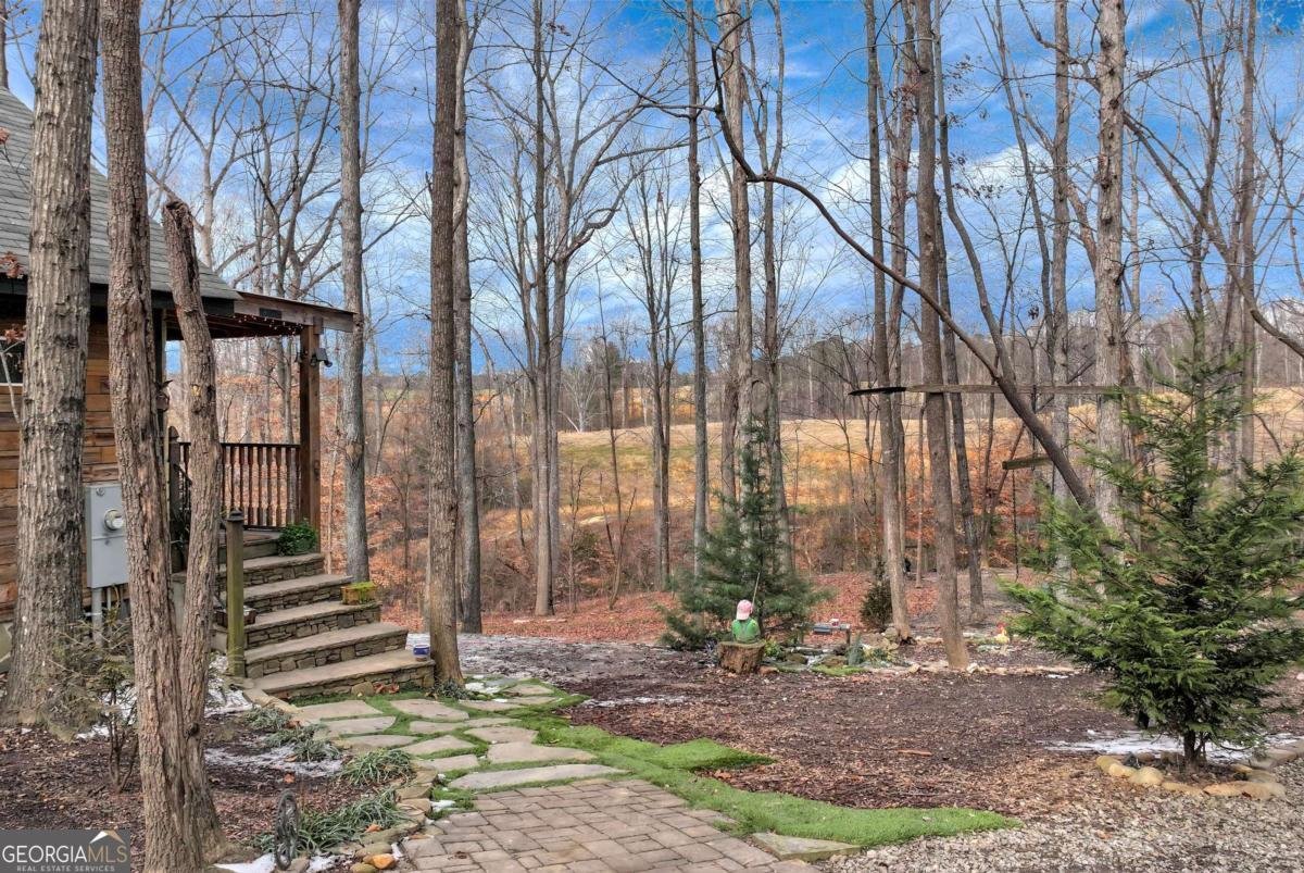 116 323 Highway Maysville - Photo 12