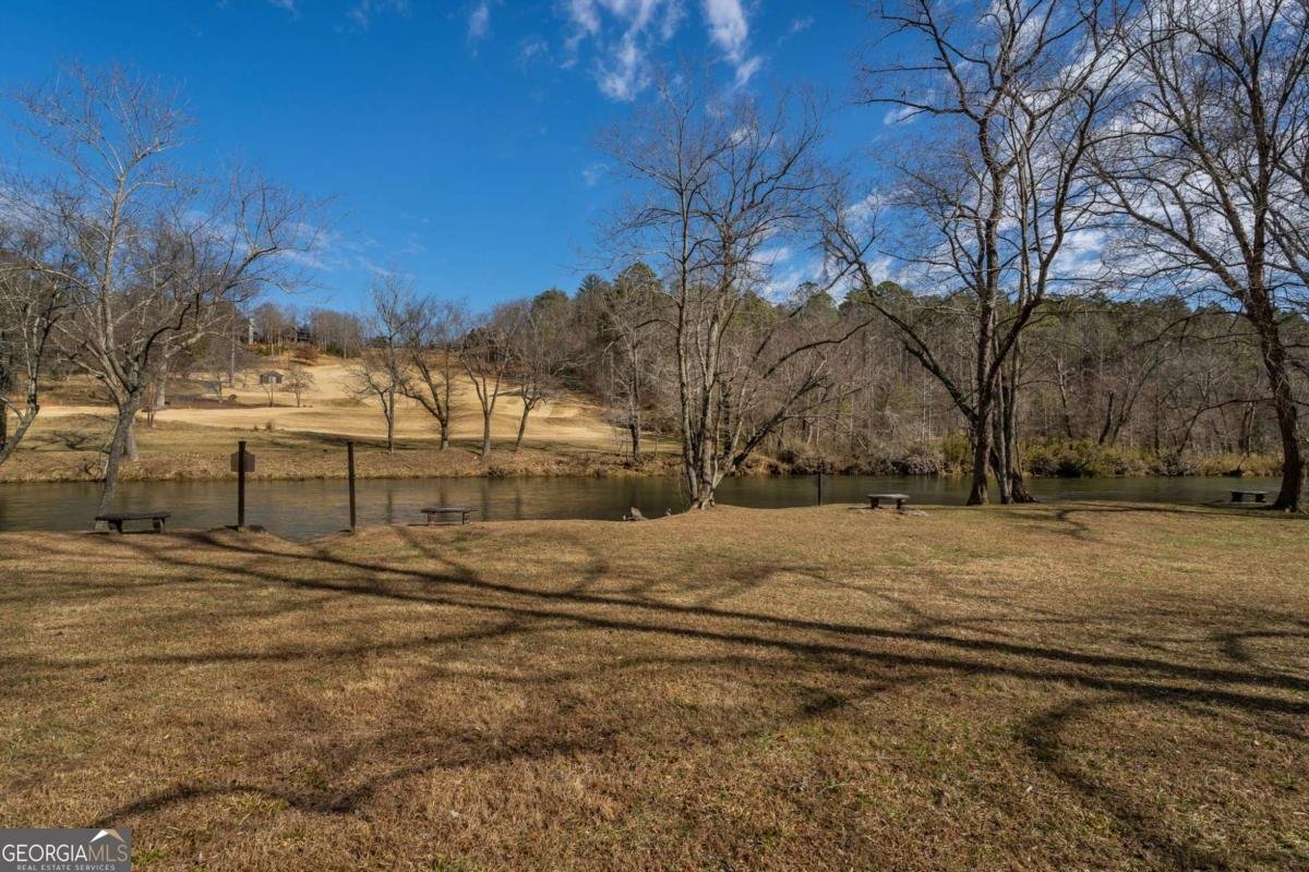 70 Cascading Brook Lane Blue Ridge - Photo 53