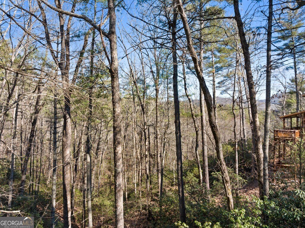 16 Dean Court Cherry Log - Photo 18