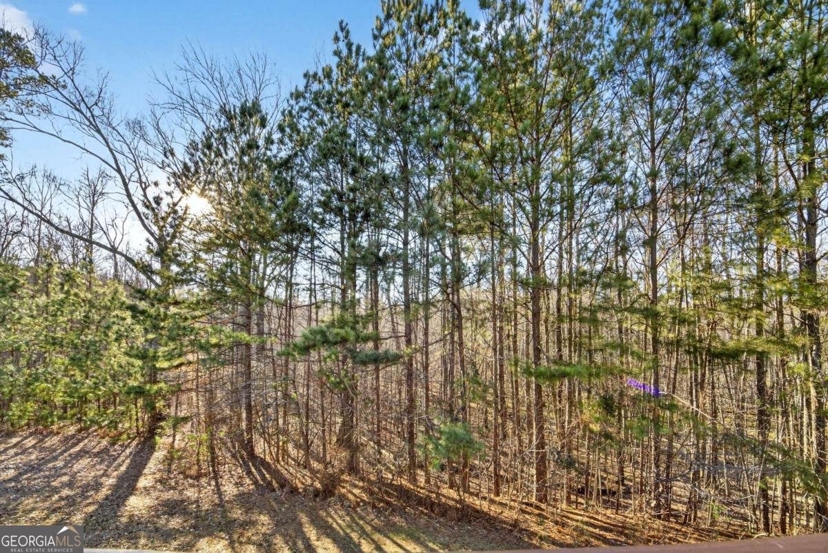 475 Ridgewood Drive Fayetteville - Photo 54