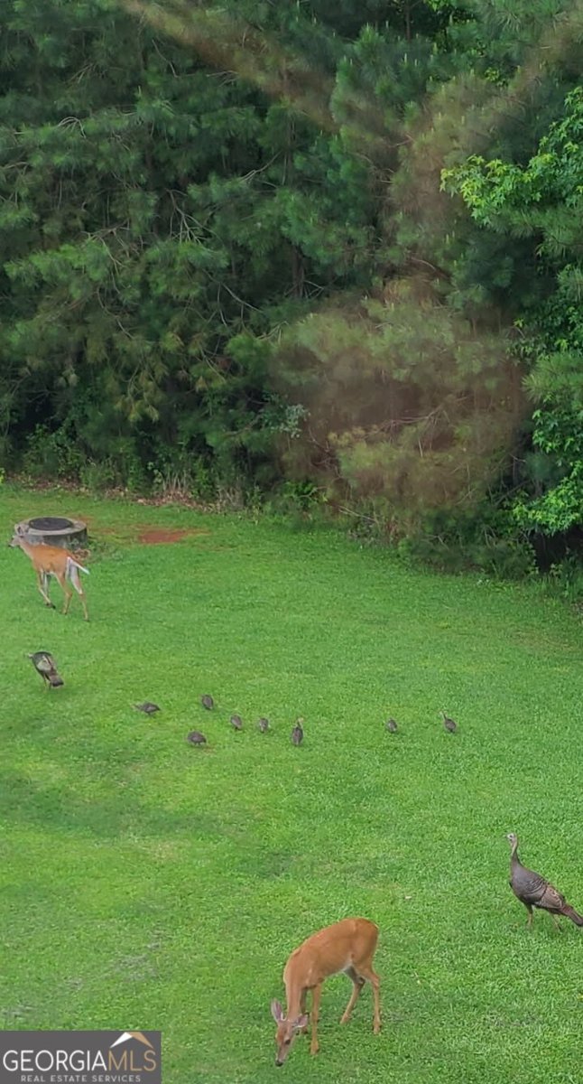 475 Ridgewood Drive Fayetteville - Photo 58