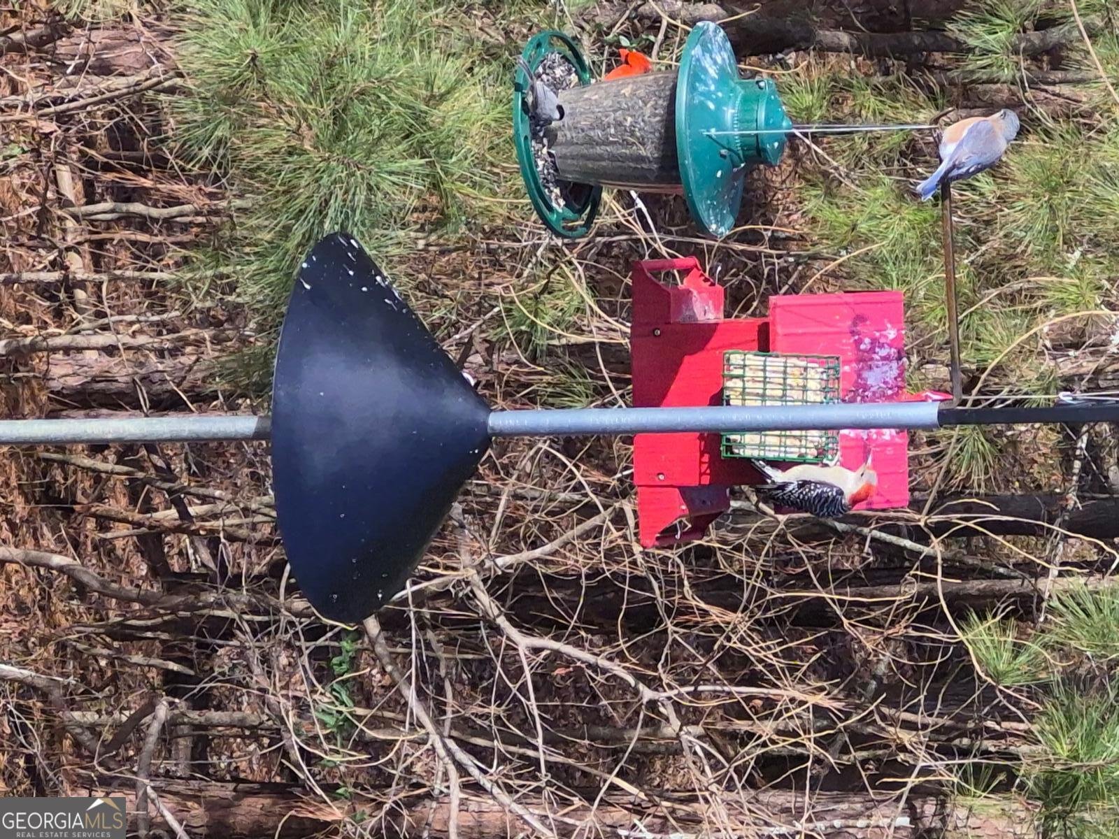 475 Ridgewood Drive Fayetteville - Photo 59