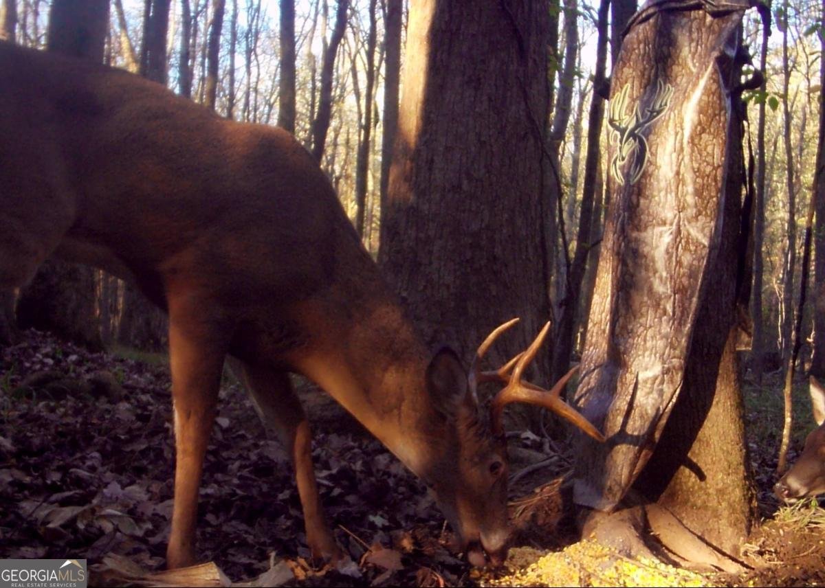 475 Ridgewood Drive Fayetteville - Photo 60