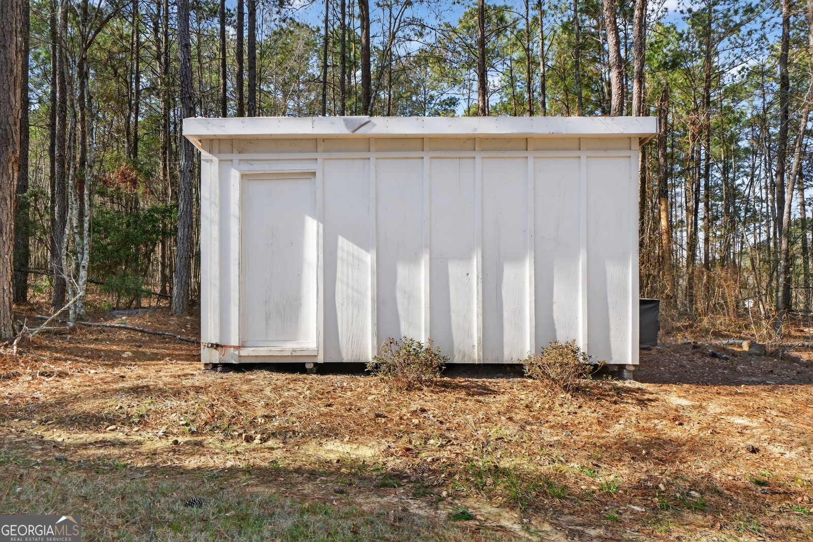 3331 US Highway 19 Meansville - Photo 38