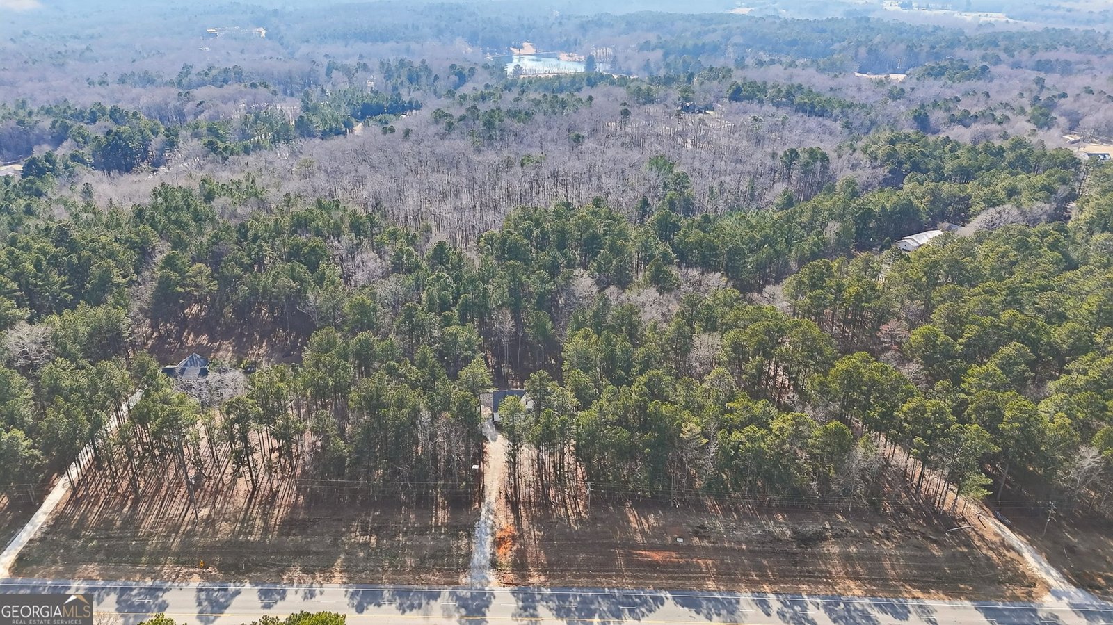 3331 US Highway 19 Meansville - Photo 39