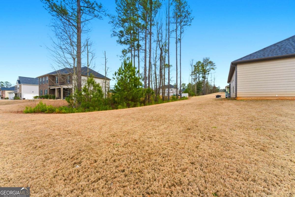 521 Palmetto Oaks Trail Palmetto - Photo 19