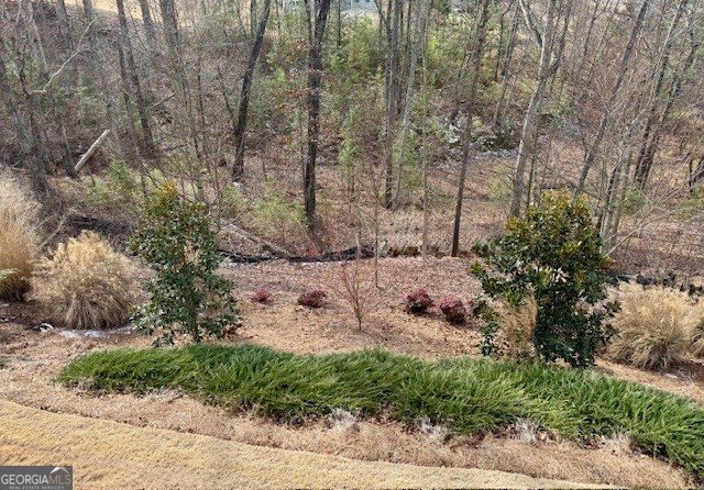 2850 Canter Meadow Drive Cumming - Photo 36