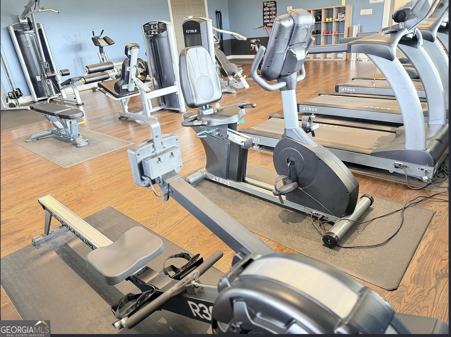 2850 Canter Meadow Drive Cumming - Photo 44