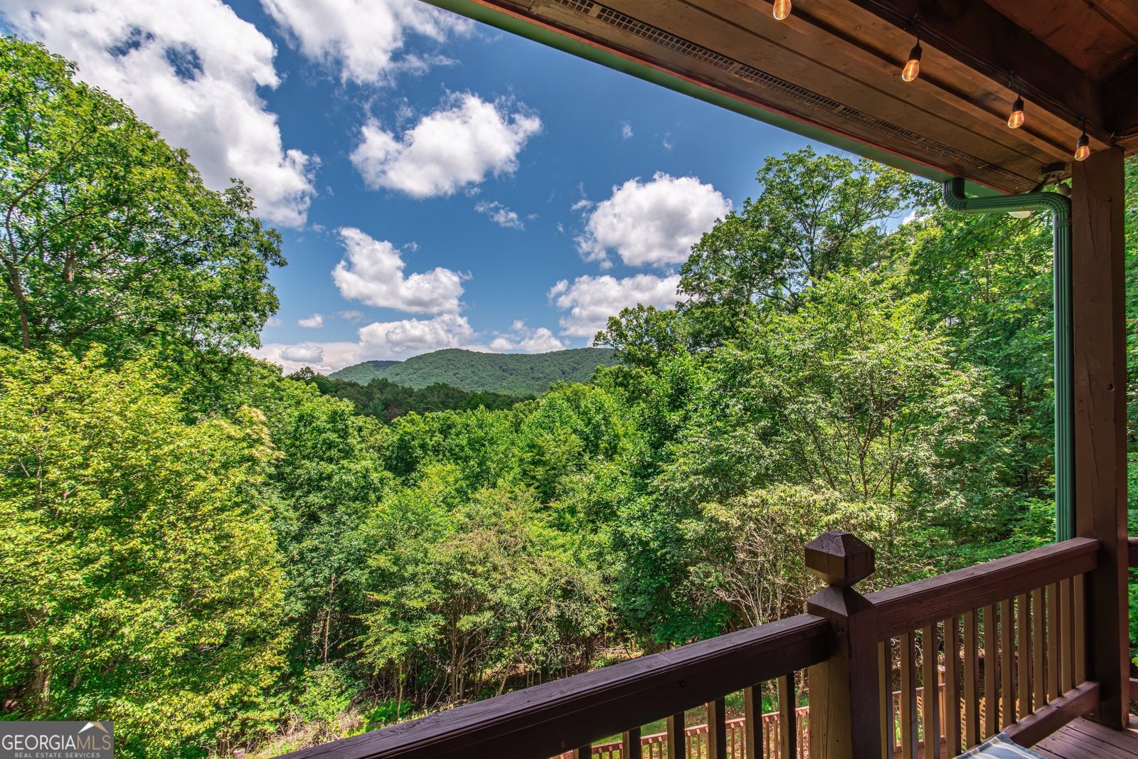 1023 Knollwood Road Mineral Bluff - Photo 39