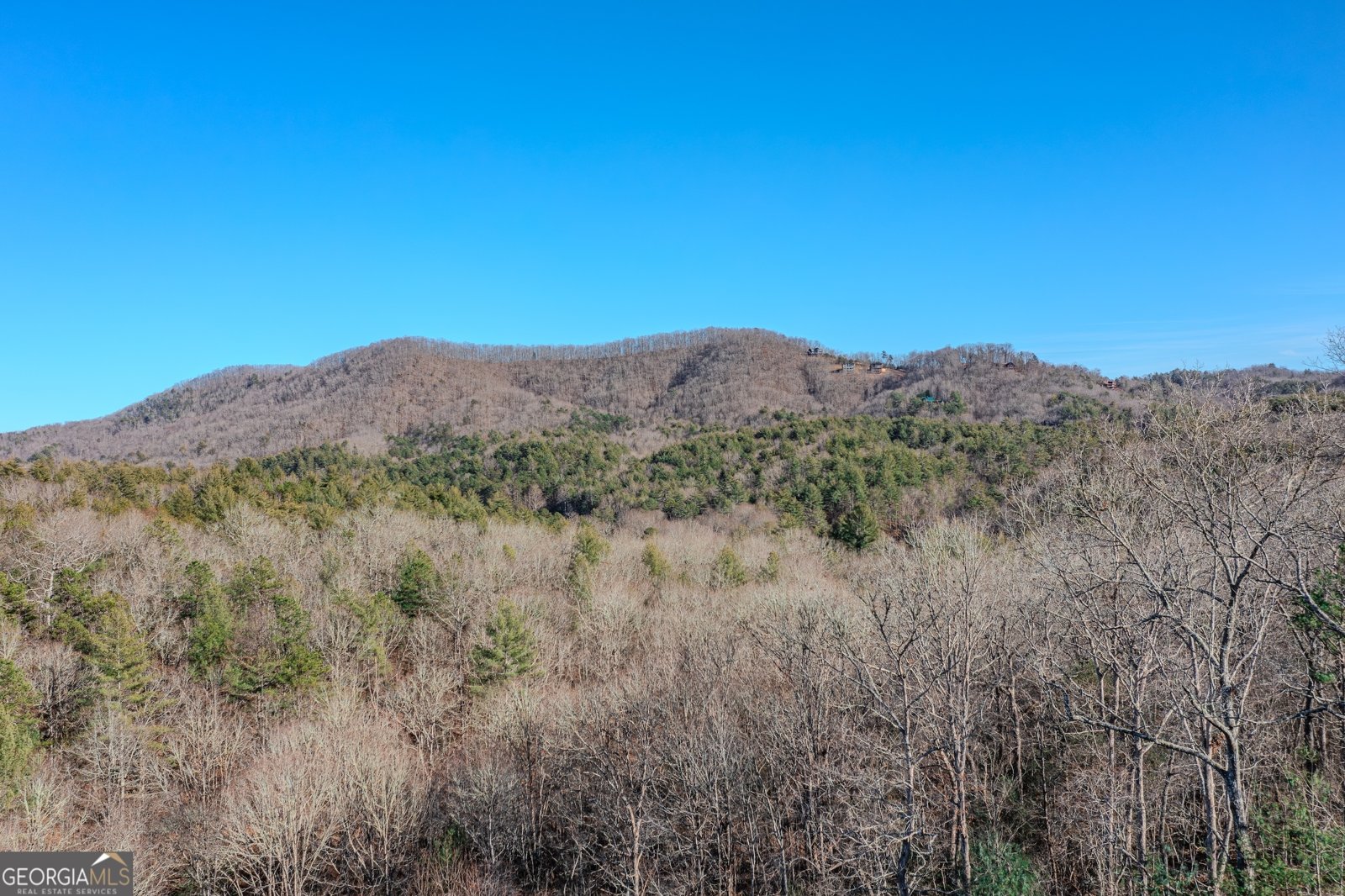 1023 Knollwood Road Mineral Bluff - Photo 68