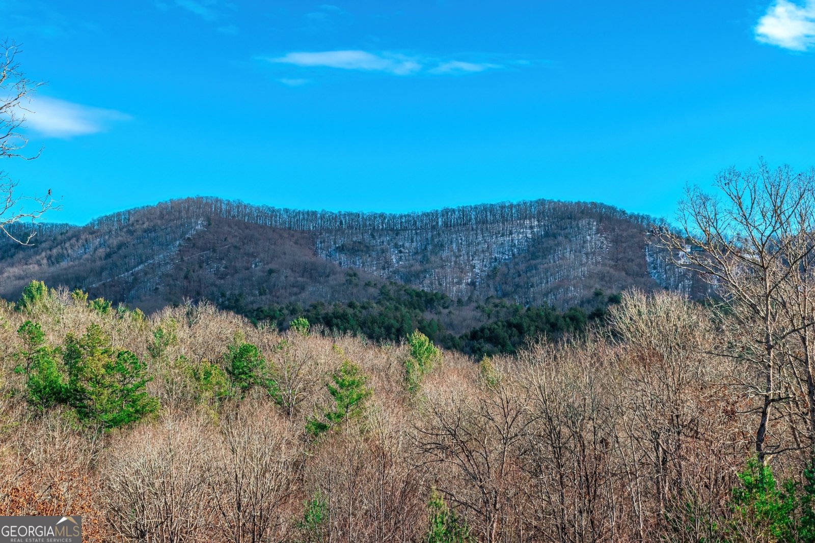 1023 Knollwood Road Mineral Bluff - Photo 83