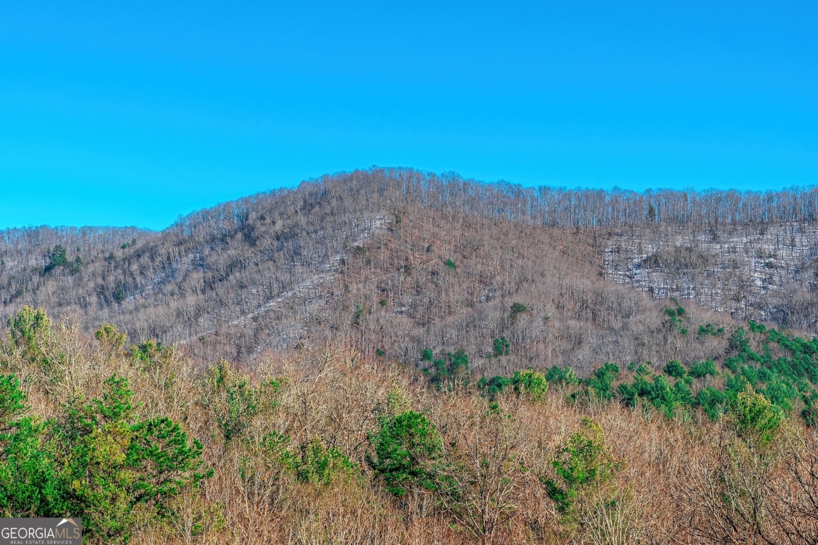 1023 Knollwood Road Mineral Bluff - Photo 84