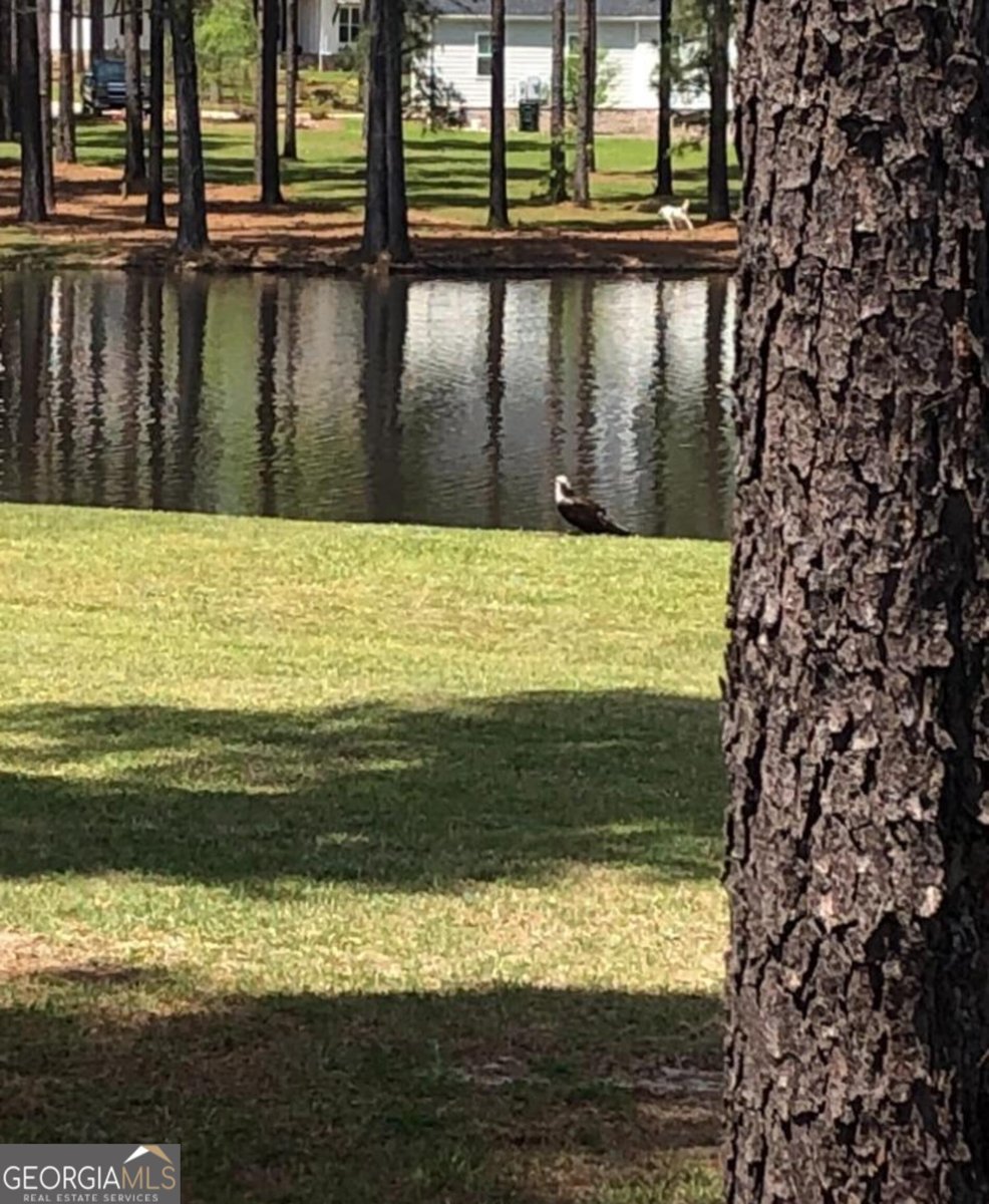 136 Alexander Farms Road Statesboro - Photo 40