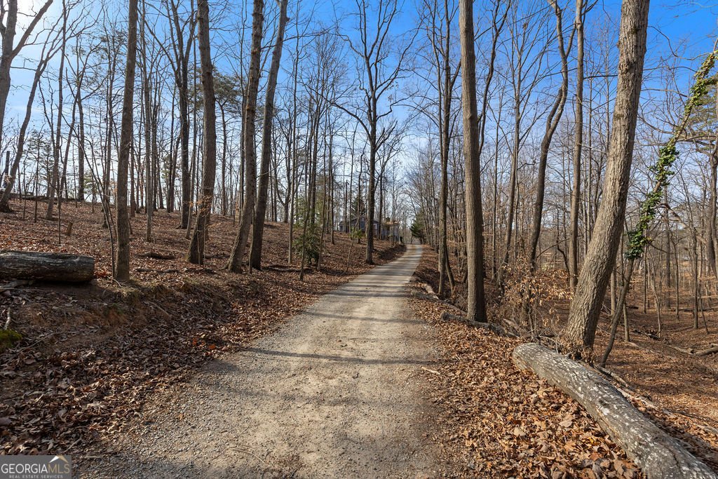 6449 Paradise Point Road Flowery Branch - Photo 29