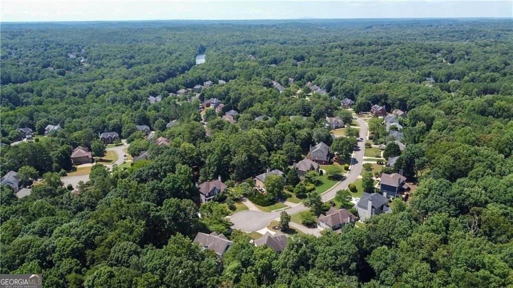 480 River Mist Drive Suwanee - Photo 6