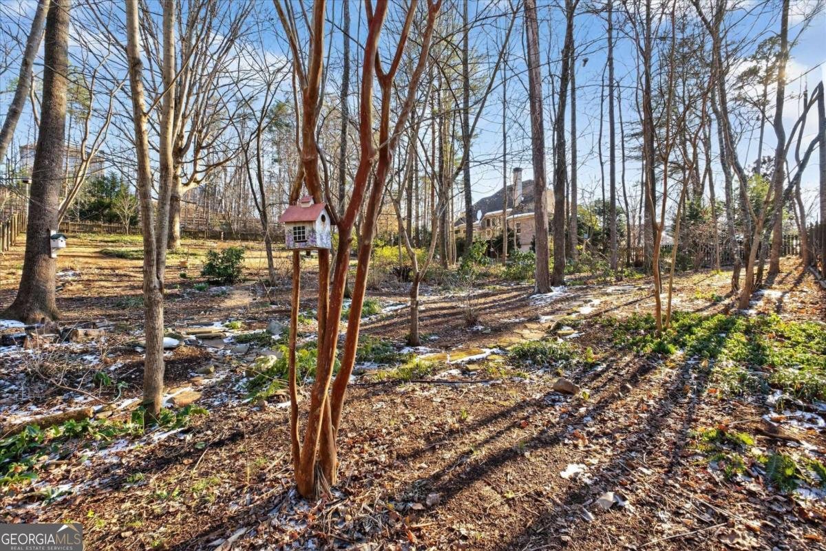 582 Old Lake Lane Dawsonville - Photo 39