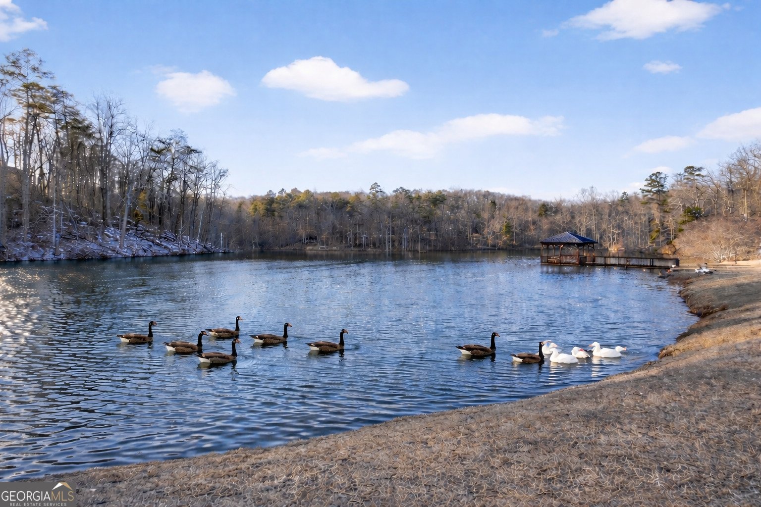 582 Old Lake Lane Dawsonville - Photo 45