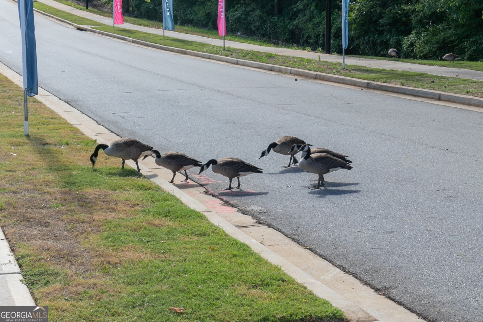 337 Brighton Bend Lane Acworth - Photo 38