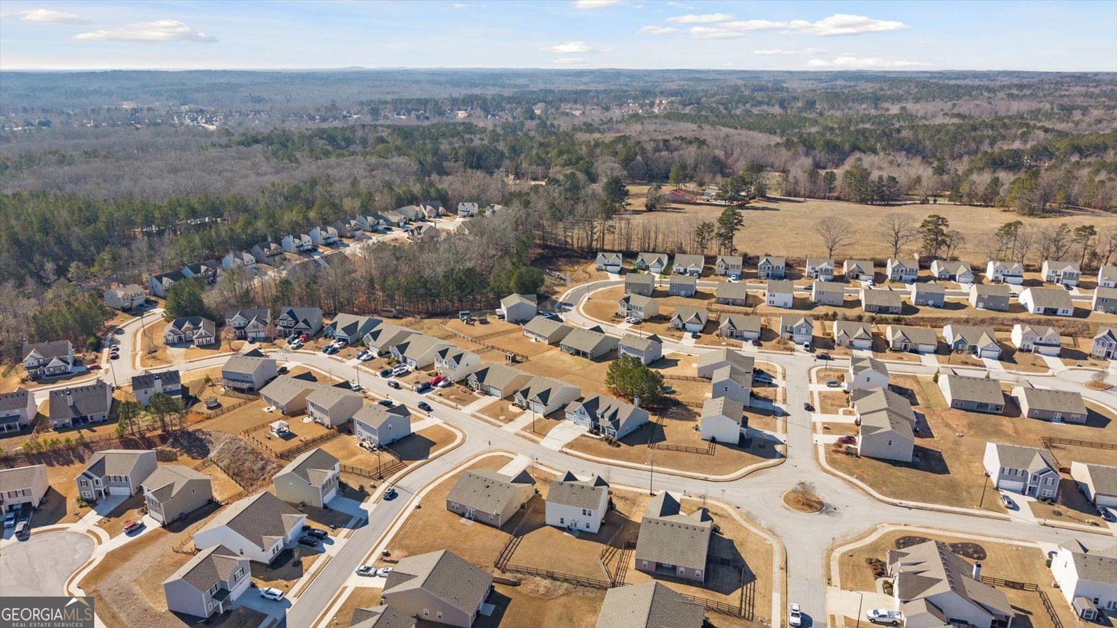 197 Meriwether Lane Villa Rica - Photo 45