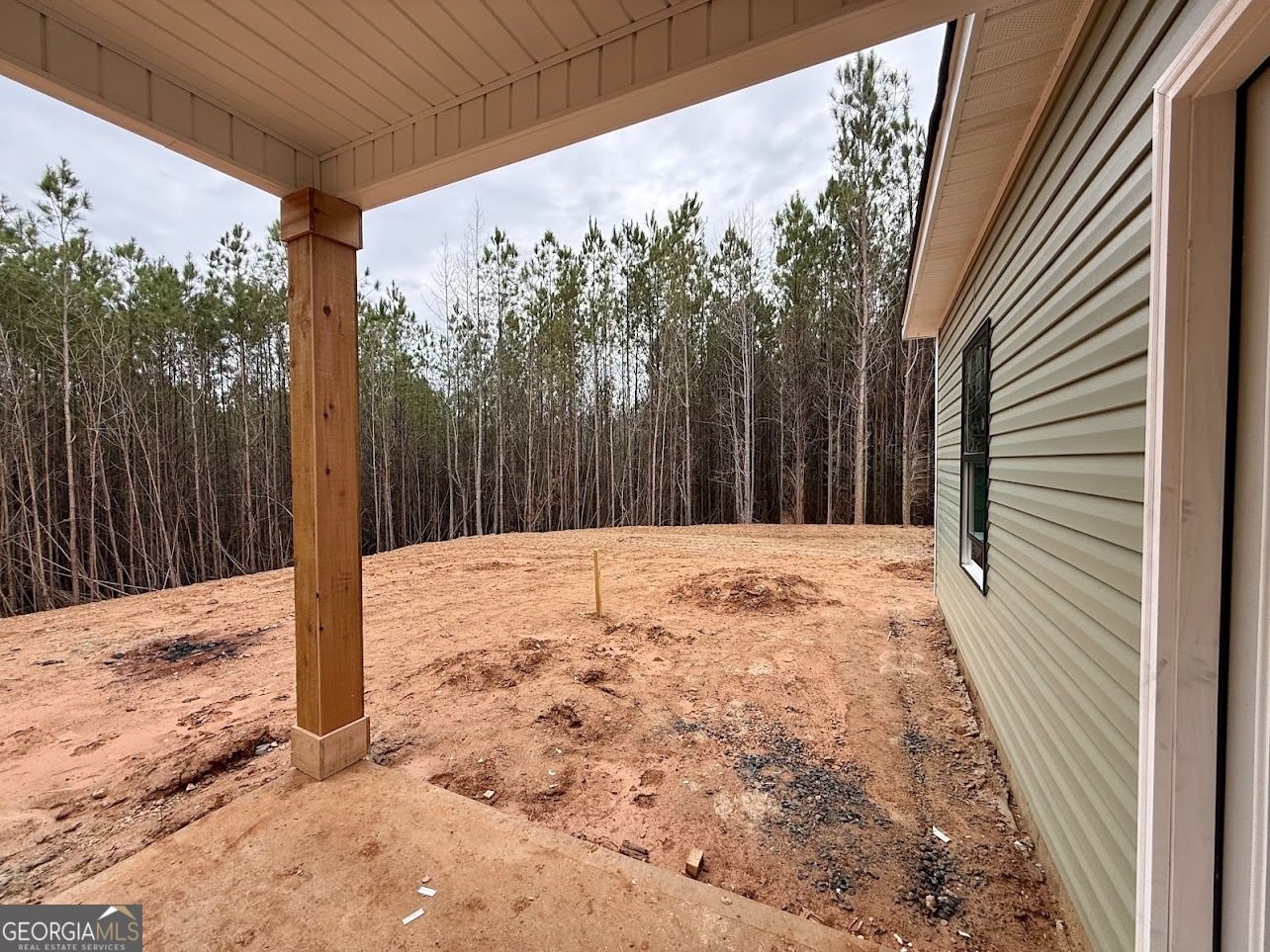 466 Mount Zion Church Road Tallapoosa - Photo 15