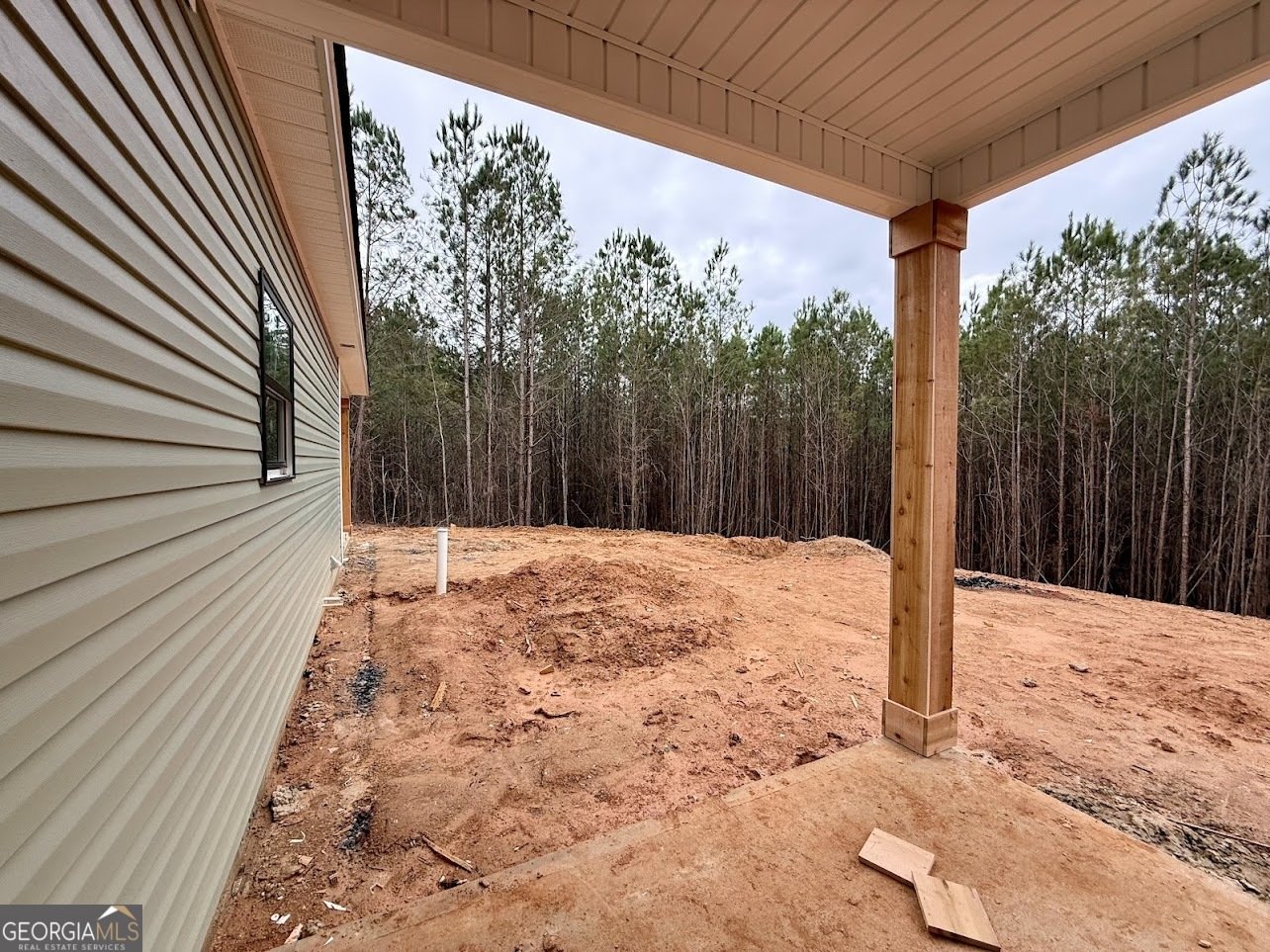 466 Mount Zion Church Road Tallapoosa - Photo 16