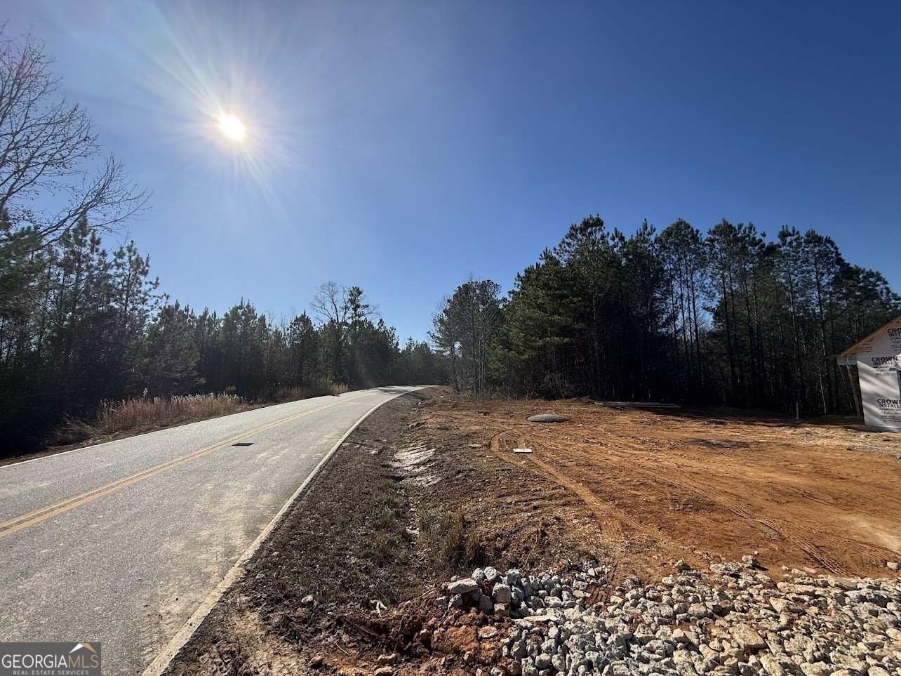 466 Mount Zion Church Road Tallapoosa - Photo 18